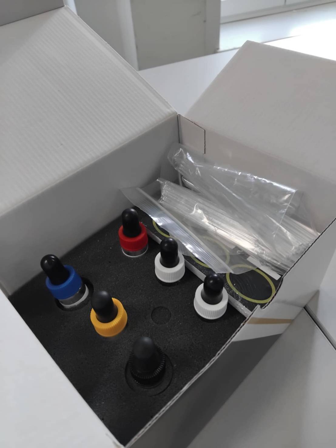 Microgen Legionella Latex Test - Image 3