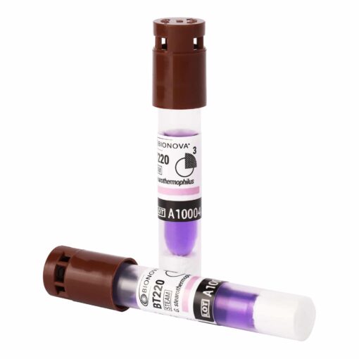 BT220-1 3h Biological Indicator for Steam