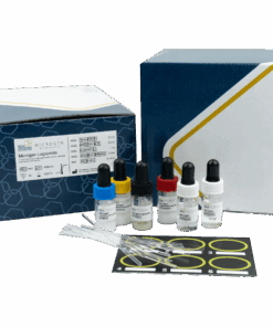 legionella_latex_w_box_no_background Microgen Legionella Latex Test