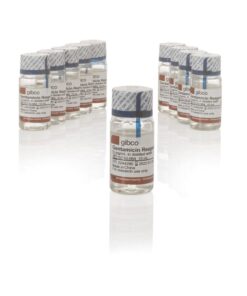 Gentamicin Reagent Solution (50mg-ml), 10 ml. Gibco - Gentamicin Reagent Solution (50 mg/mL), 10 mL