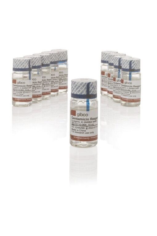 Gentamicin Reagent Solution (50mg-ml), 10 ml. Gibco - Gentamicin Reagent Solution (50 mg/mL), 10 mL