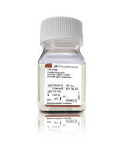 Penicillin-Streptomycin, 100 ml Gibco - Penicillin-Streptomycin, 100 mL