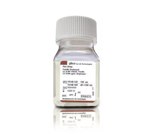 Penicillin-Streptomycin, 100 ml Gibco - Penicillin-Streptomycin, 100 mL