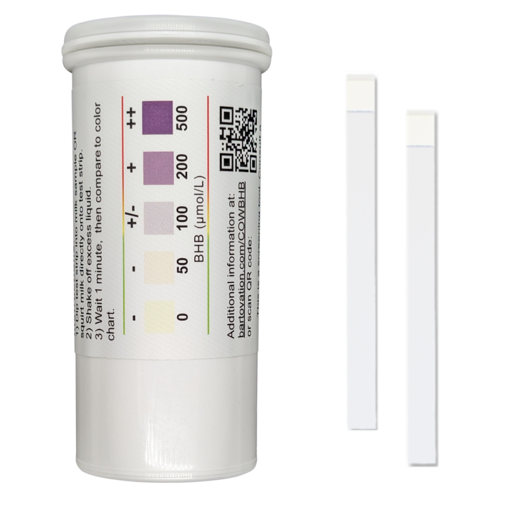 Bartovation BHB cows milk ketone test strips for subclinical ketosis detection — available in Thailand from BCST