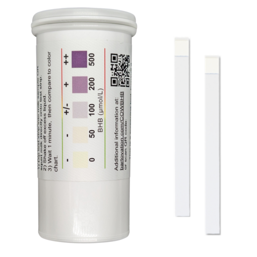 Bartovation BHB cows milk ketone test strips for subclinical ketosis detection — available in Thailand from BCST