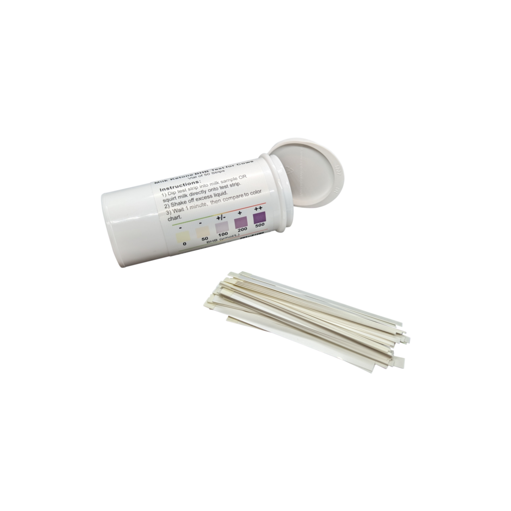 Bartovation BHB cows milk ketone test strips for subclinical ketosis detection — available in Thailand from BCST