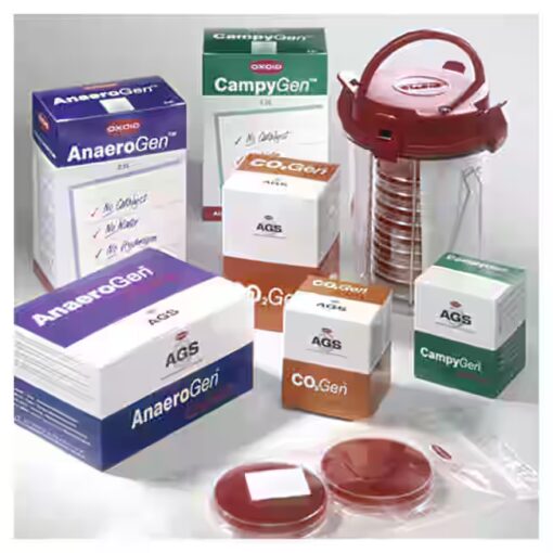 Oxoid AnaeroJar 2.5L with culture plates AnaeroGen sachet anaerobic incubation Thailand