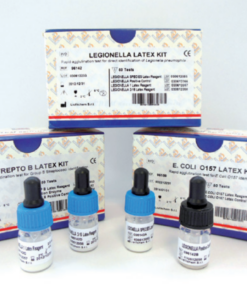 Latex Kit Liofilchem latex agglutination kit Thailand rapid culture confirmation food microbiology BCST