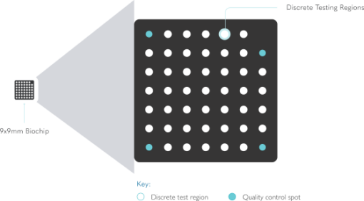 Clinical-MultiSTAT_Biochip-Milk Milk Analysis Thailand — Randox Biochip Array Technology for Dairy Residue Testing | BCST