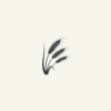 Feed & Cereals Analysis Thailand Randox feed cereals analysis Thailand ELISA Biochip mycotoxin ergot alkaloid growth promoter BCST