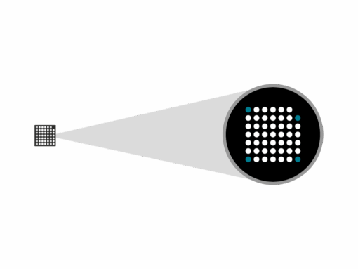 biochip-1 Randox Evidence Investigator food safety instrument Thailand simultaneous residue screening BCST